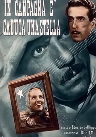 In campagna è caduta una stella