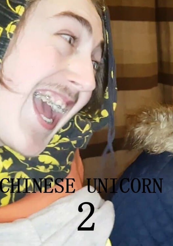 Chinese Unicorn 2: The Façade of Deceit