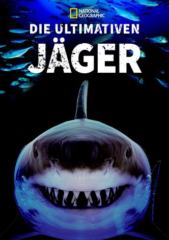Haie - Die ultimativen Jäger
