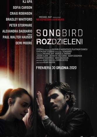 Songbird. Rozdzieleni