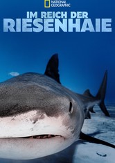 Im Reich der Riesenhaie