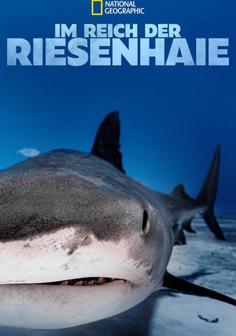 Im Reich der Riesenhaie