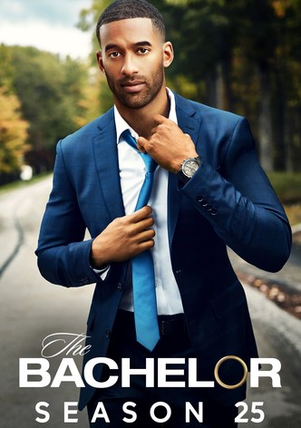 Der Bachelor Stream Jetzt Serie online finden anschauen