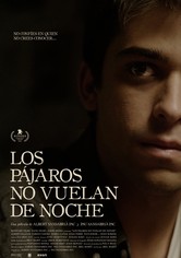 Los pájaros no vuelan de noche