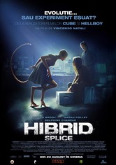 Hibrid