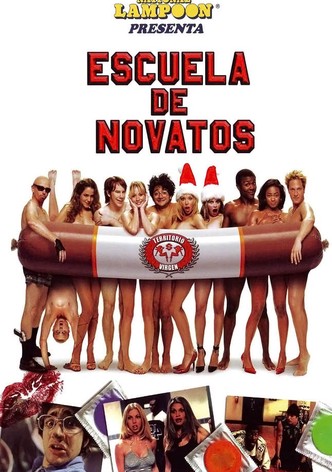 Escuela de novatos