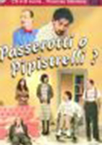 Passerotti o pipistrelli?