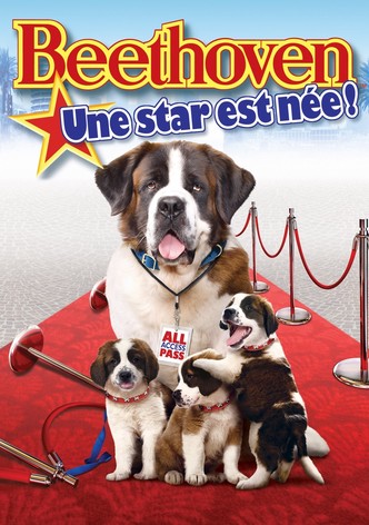 Beethoven 6 : Une star est née !
