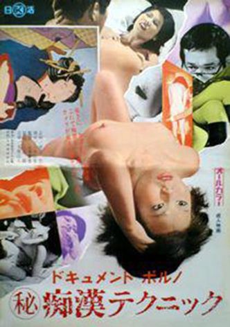 Dokyumento poruno: Maruhi chikan tekunikku