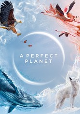 Ein perfekter Planet - Ein perfekter Planet - Staffel 1 [dt./OV]