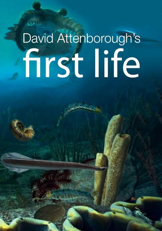 First Life