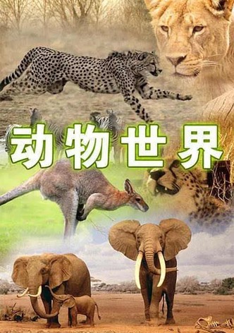 动物世界