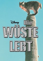Die Wüste lebt