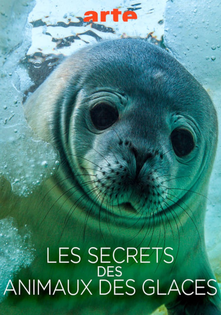 Les Secrets des animaux des glaces