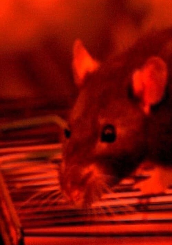 Hauser and Žižek: Theoreticians of Postmarxist Philosophy