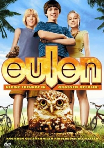 Eulen - Kleine Freunde in großer Gefahr