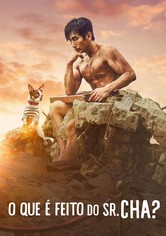 O Que é Feito do Sr. Cha?
