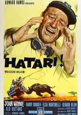 Hatari!