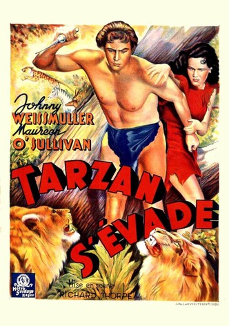 Tarzan s'évade