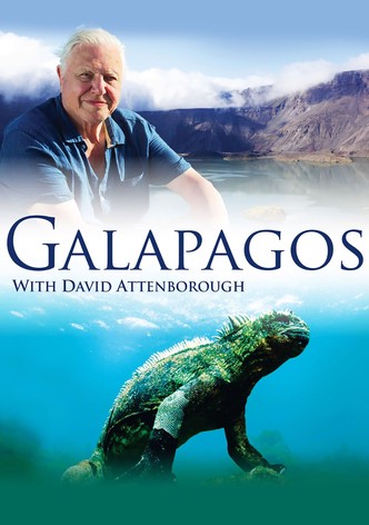 Galapagos 3D with David Attenborough