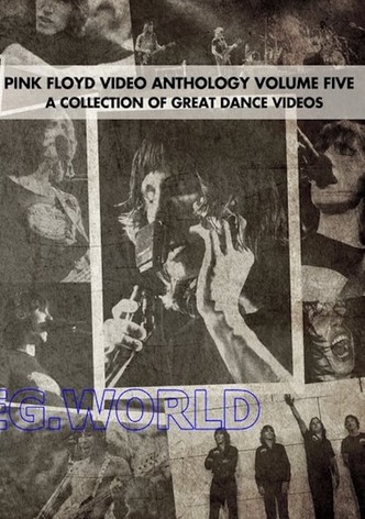 Pink Floyd:  Video Anthology Vol. 5