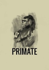 Primate
