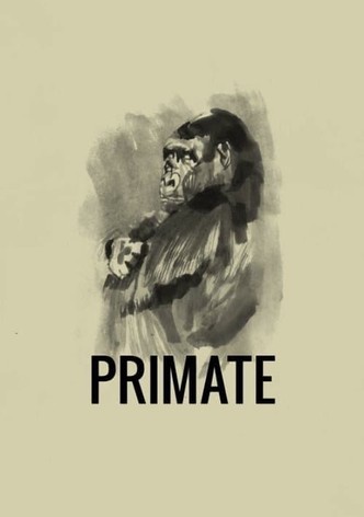 Primate