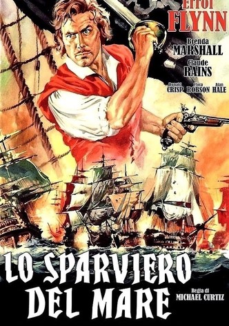 Lo sparviero del mare