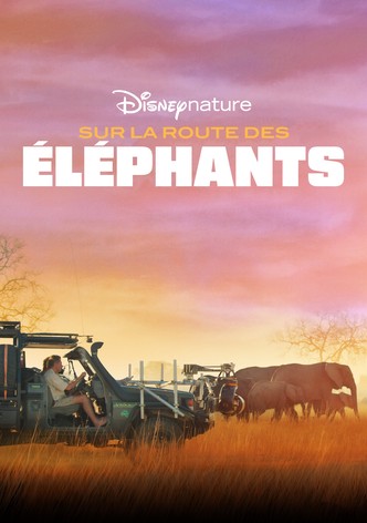 Sur la route des éléphants
