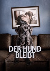 Der Hund bleibt