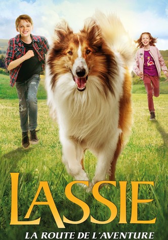 Lassie : La route de l'aventure