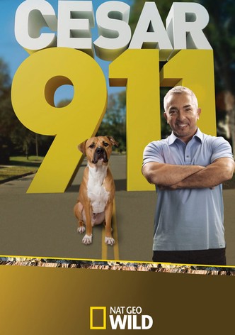 Cesar 911 watch tv show streaming online