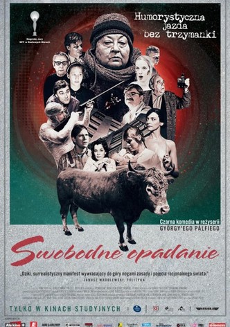 Swobodne opadanie