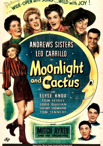 Moonlight and Cactus