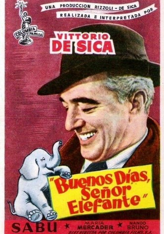 Buongiorno, elefante!