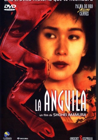 La anguila