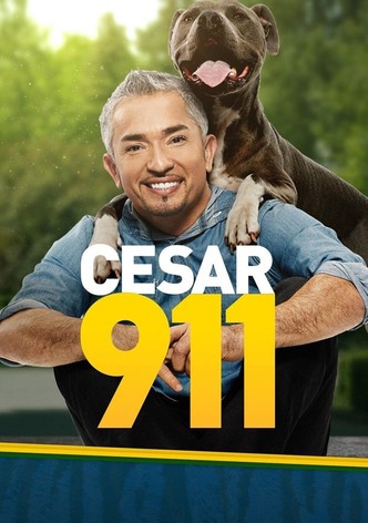 Cesar 911