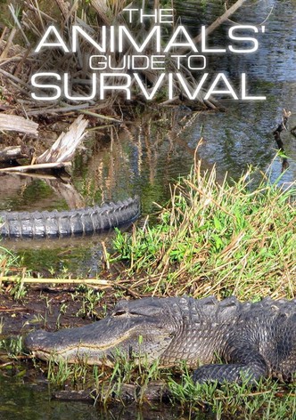 The Animals' Guide to Survival