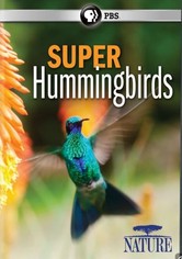 Super Hummingbirds