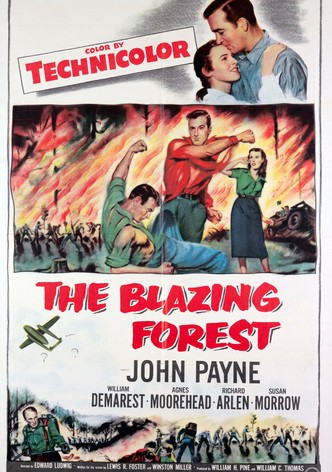 The Blazing Forest