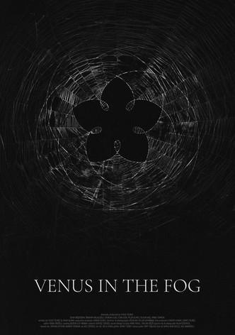 Venus in the Fog