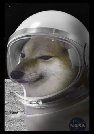 Cheems Dog Goes To The Moon