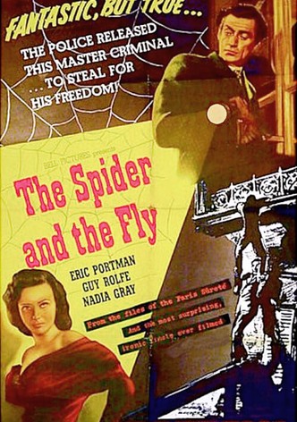 The Spider and the Fly