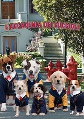 L'accademia dei cuccioli