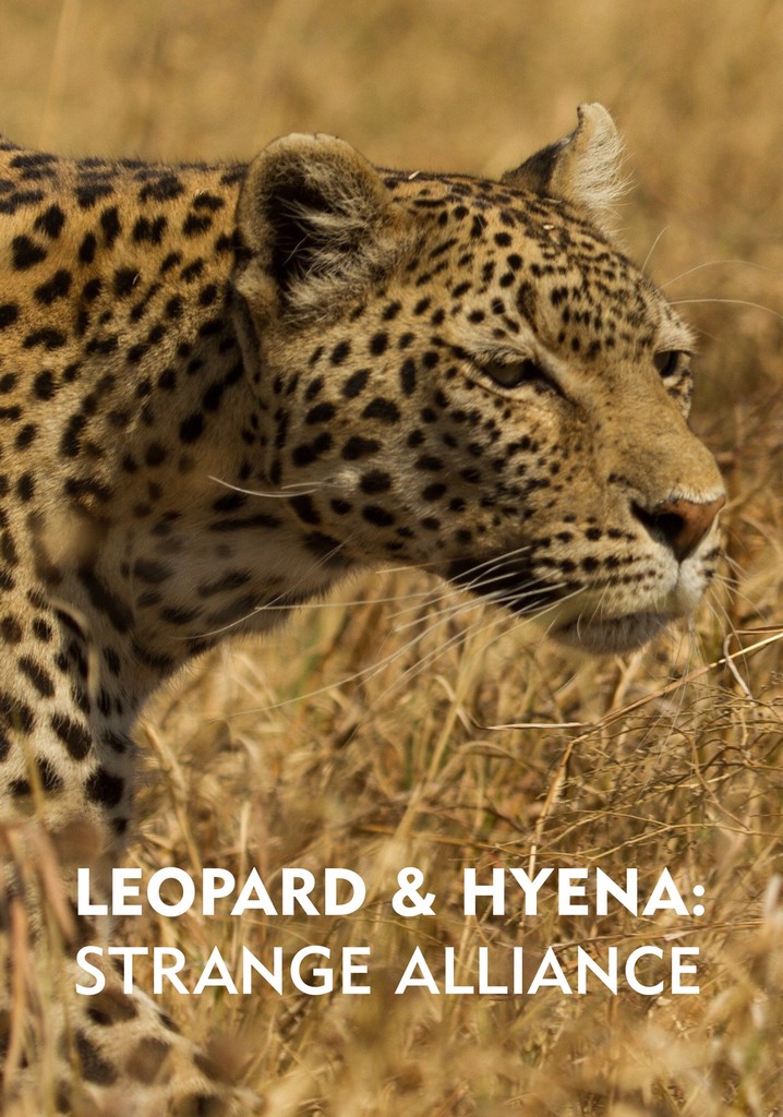 Leopard & Hyena: Strange Alliance - streaming