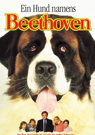 Ein Hund namens Beethoven