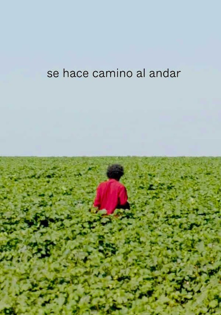 The Path is Made by Walking