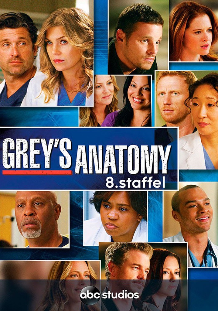 Grey S Anatomy Staffel 8 Jetzt Stream Anschauen