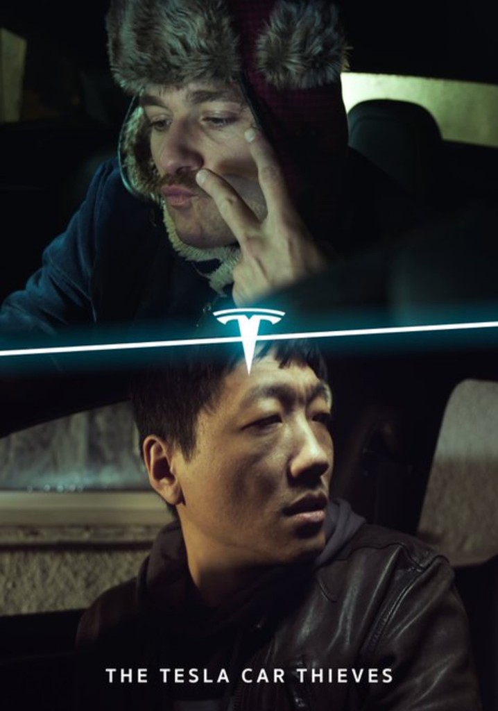 The Tesla Car Thieves