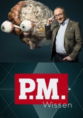 P.M. Wissen